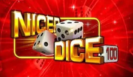 Nicer Dice 100