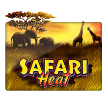 SafariHeat