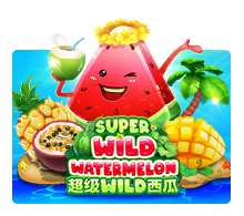 Wild Watermelon