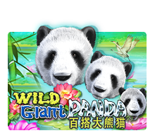 WildGiantPanda
