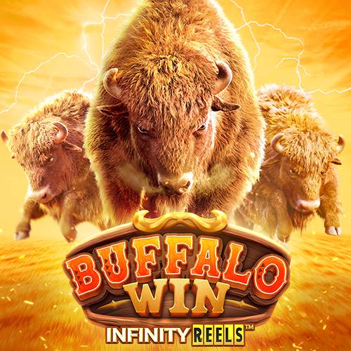 Buffalo Win