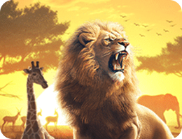 Safari Wilds