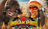 Indian Spirit