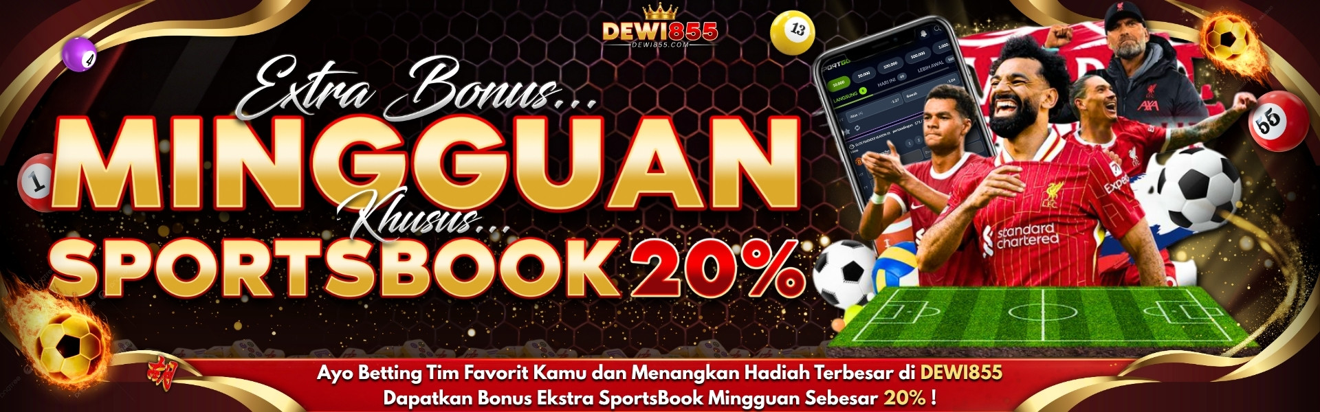 DEWI855 Banner 6